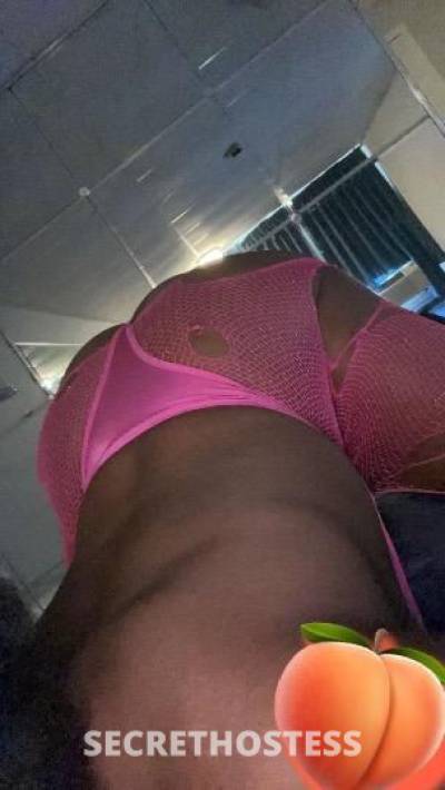 26Yrs Old Escort Bronx NY Image - 2