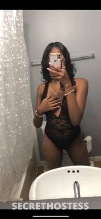 Alice 22Yrs Old Escort Saint Louis MO Image - 1