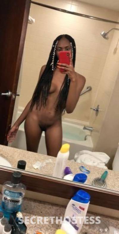 Alice 22Yrs Old Escort Saint Louis MO Image - 3