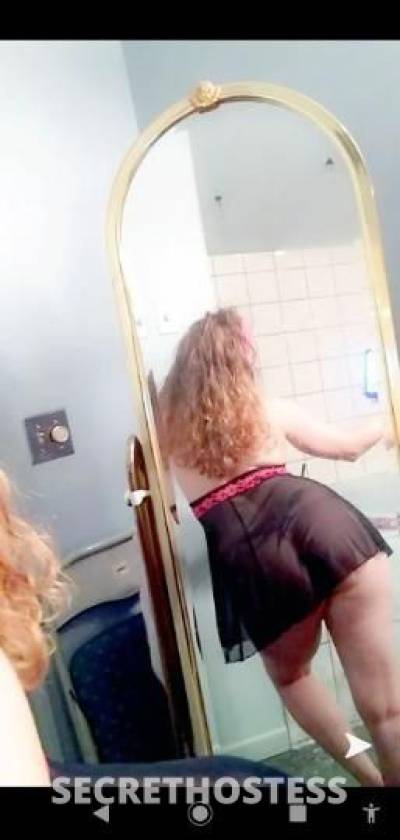 Amber 28Yrs Old Escort Hudson Valley NY Image - 0