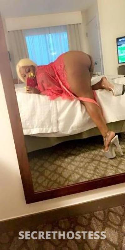 24Yrs Old Escort Houston TX Image - 0