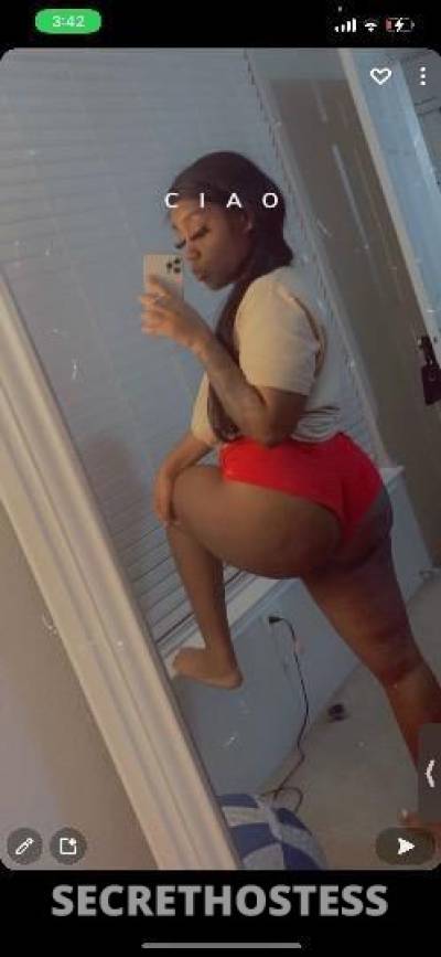 25Yrs Old Escort Houston TX Image - 1