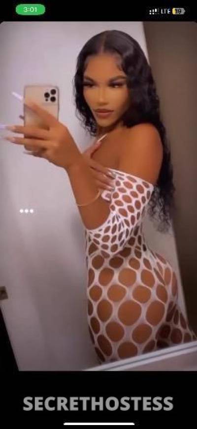 26Yrs Old Escort Chicago IL Image - 2