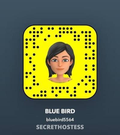 27 year old Escort in College Station TX Sweet sexy Girl exotic freak come see me baby Incall or 