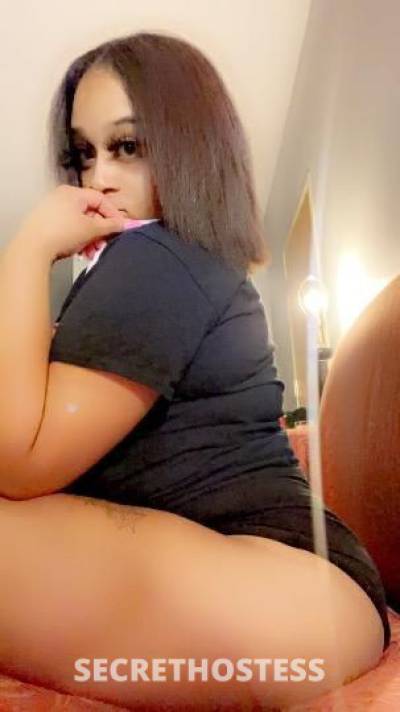28 Year Old Chinese Escort Chicago IL - Image 3