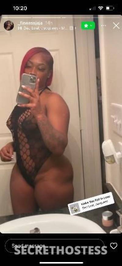 29Yrs Old Escort Houston TX Image - 1