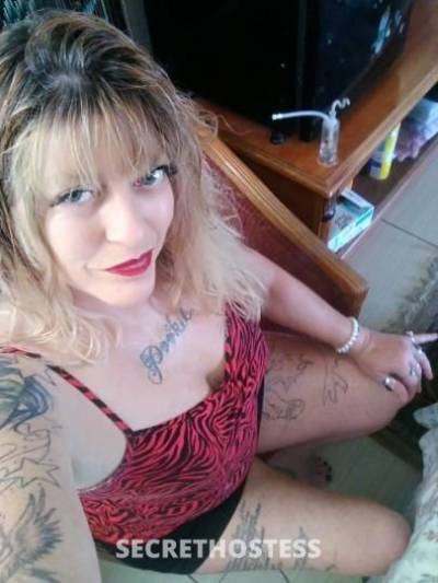 41Yrs Old Escort Indianapolis IN Image - 1