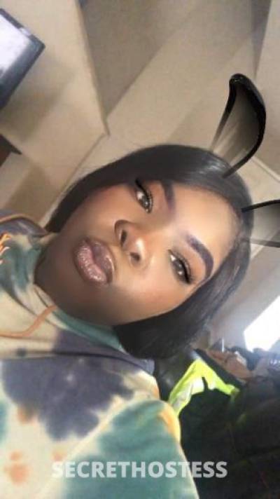 🍫BhabieBunny🐇 24Yrs Old Escort Milwaukee WI Image - 2