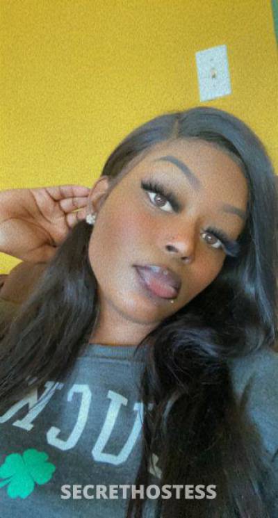 Naomi 23Yrs Old Escort 170CM Tall Oakland / East Bay CA Image - 6