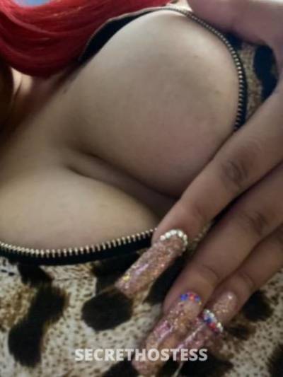 Paradise 24Yrs Old Escort Hampton VA Image - 0