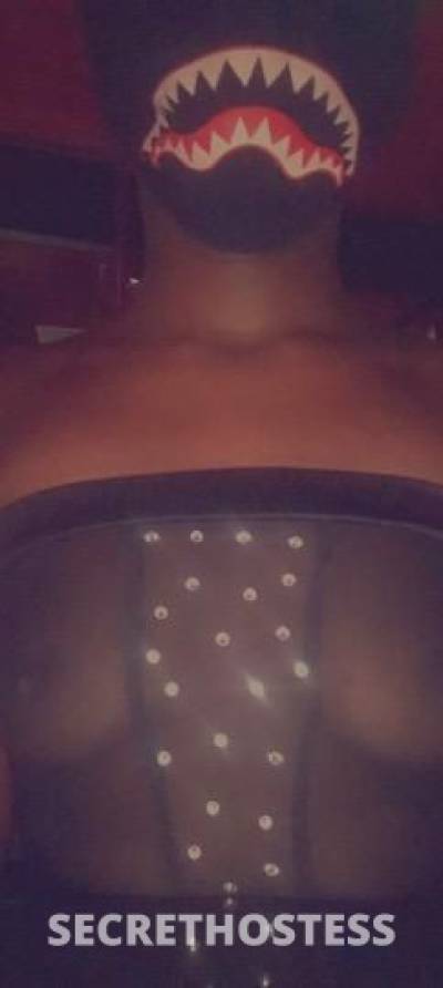 22Yrs Old Escort Fort Lauderdale FL Image - 1