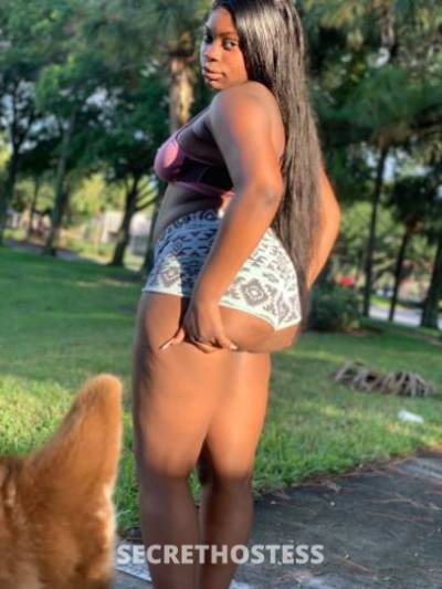 24Yrs Old Escort Miami FL Image - 1