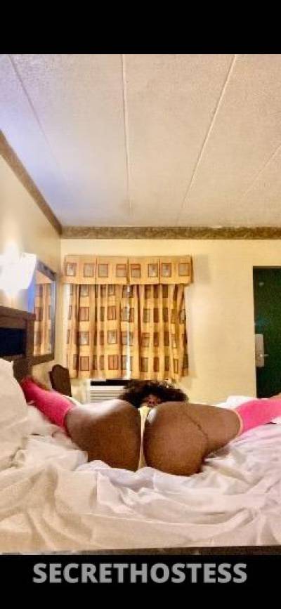 27Yrs Old Escort Chicago IL Image - 0