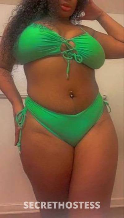 28 Year Old Chilean Escort Miami FL - Image 2