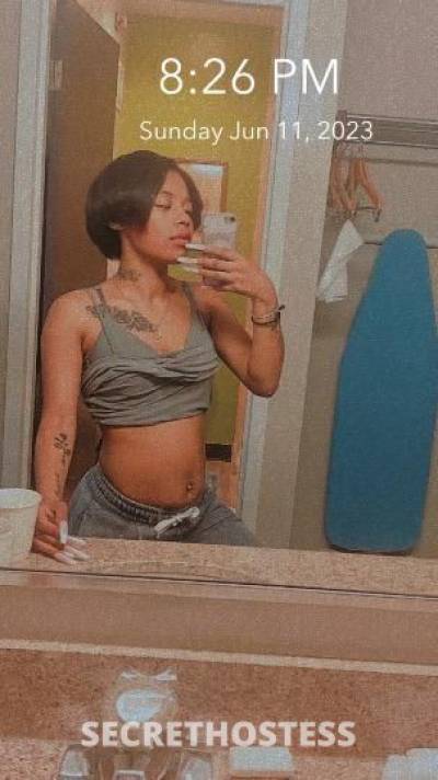 22 year old German Escort in Houston TX DEALS ALL WEEK CASH ONLY Text Call Now
