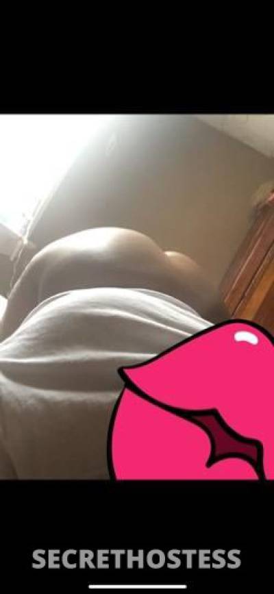 26Yrs Old Escort Bronx NY Image - 2