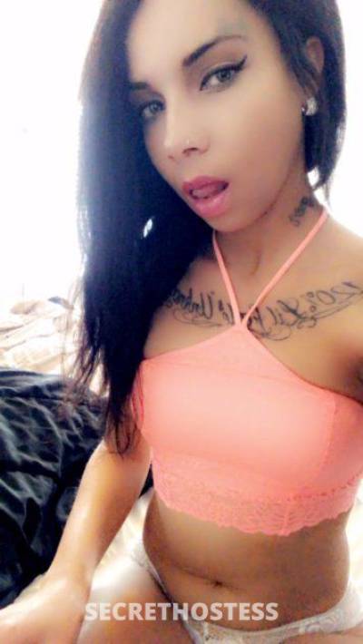 26 year old Escort in El Paso TX ??80 half gf e... Green eyes slim cutie???Come Over