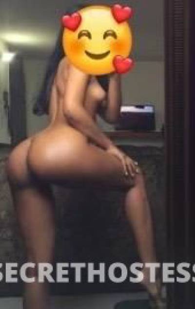 27Yrs Old Escort North Jersey NJ Image - 0