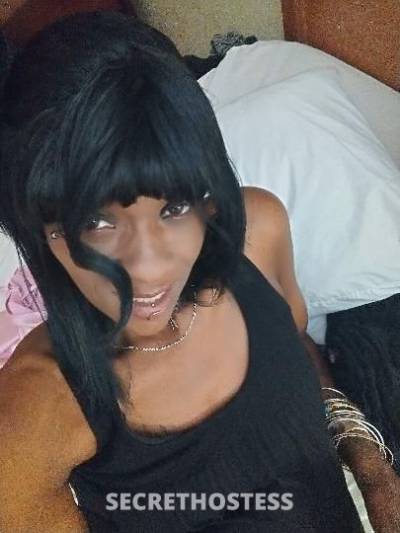 30 year old Escort in San Antonio TX sweet az she can be