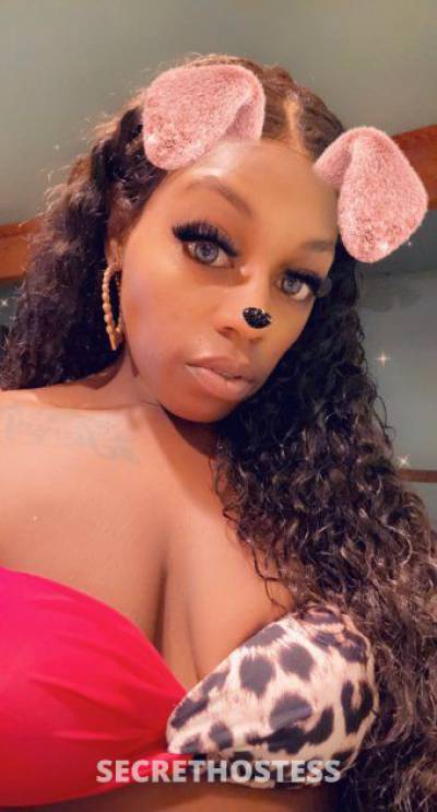 33Yrs Old Escort 157CM Tall El Paso TX Image - 4