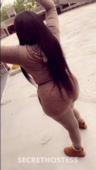 19Yrs Old Escort Bronx NY Image - 3