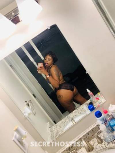 21 year old Escort in Memphis TN S t a l l i o n