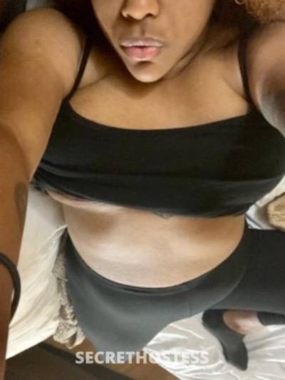Paige 24Yrs Old Escort Charlotte NC Image - 2