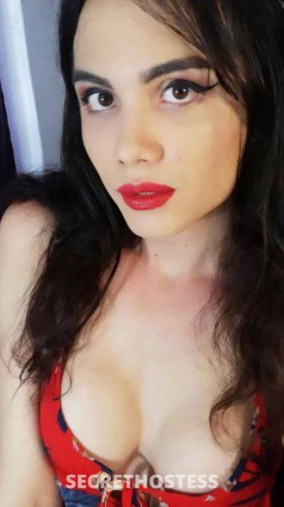 24Yrs Old Escort 167CM Tall Akron OH Image - 2