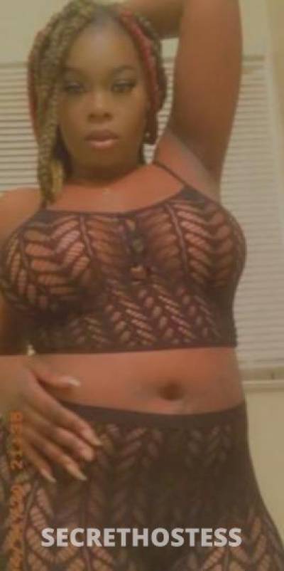 30Yrs Old Escort Fort Lauderdale FL Image - 1