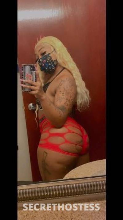 Kashha 25Yrs Old Escort Shreveport LA Image - 2