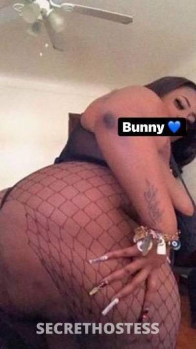 Bunny 26Yrs Old Escort North Jersey NJ Image - 0