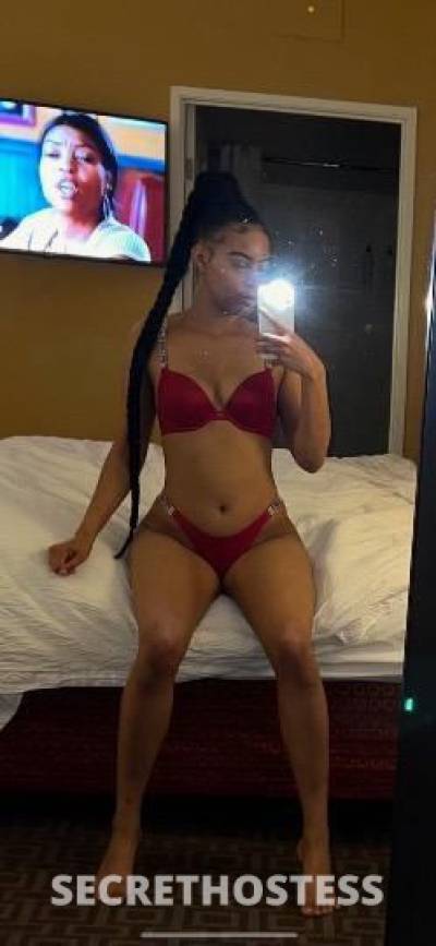 25Yrs Old Escort Tampa FL Image - 2