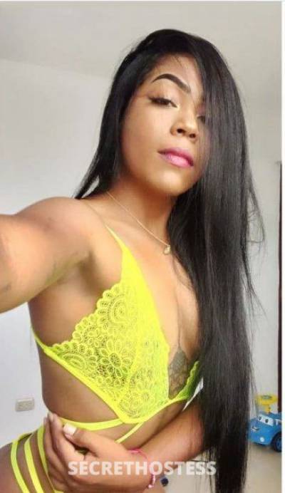 27 Year Old Hispanic Escort Tampa FL - Image 3