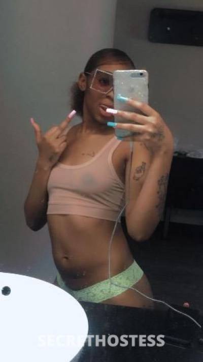 22Yrs Old Escort Dallas TX Image - 0