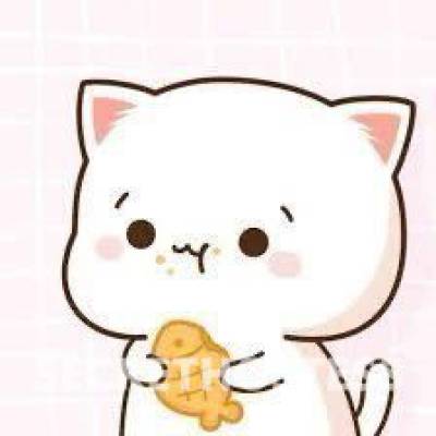 23 year old Asian Escort in Knoxville TN Gfe✅ licking ✅sucking