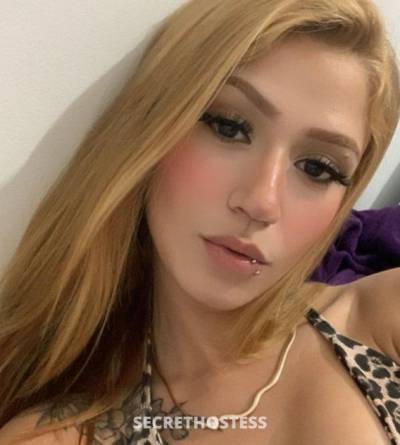 24 Year Old American Escort San Antonio TX Blonde - Image 2