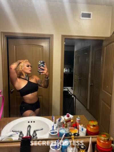 24Yrs Old Escort Houston TX Image - 1