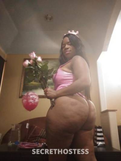 27Yrs Old Escort San Antonio TX Image - 1