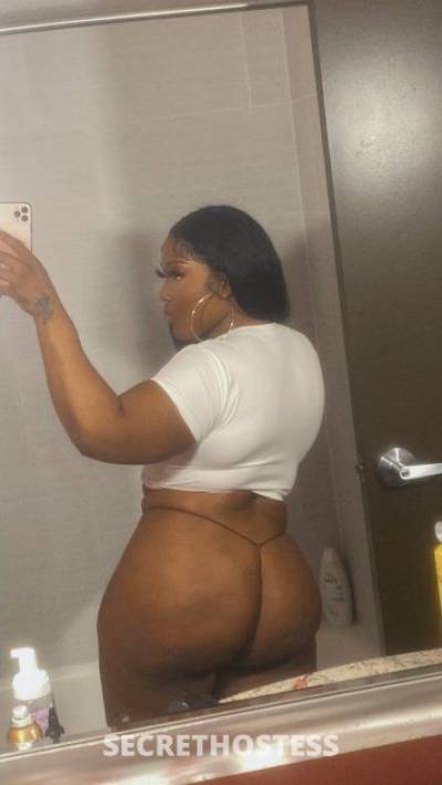 28Yrs Old Escort 162CM Tall Knoxville TN Image - 2