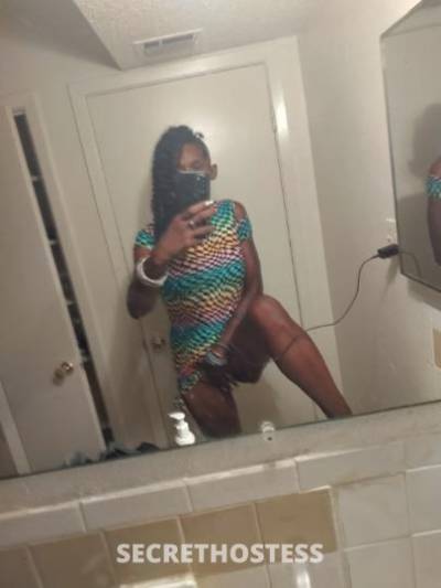 30Yrs Old Escort San Antonio TX Image - 3