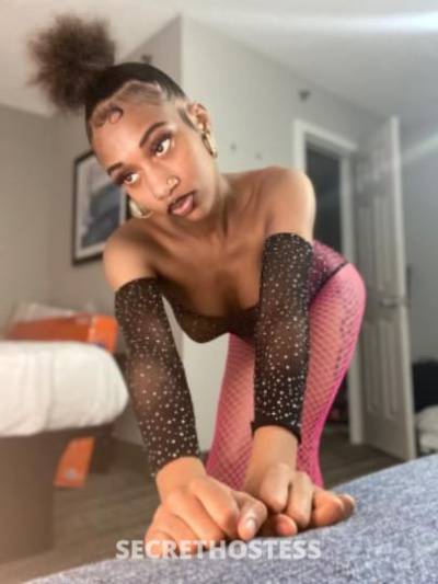 18 Year Old Escort Washington DC Hazel eyes - Image 1