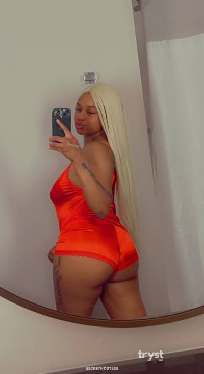 20 Year Old American Escort Los Angeles CA Blonde - Image 2