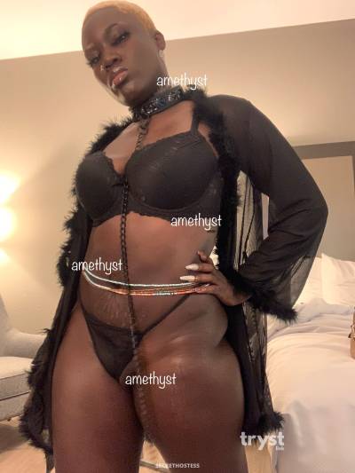 20Yrs Old Escort Size 10 163CM Tall Memphis TN Image - 2