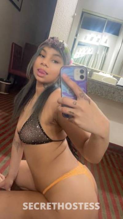 21Yrs Old Escort Sacramento CA Image - 2