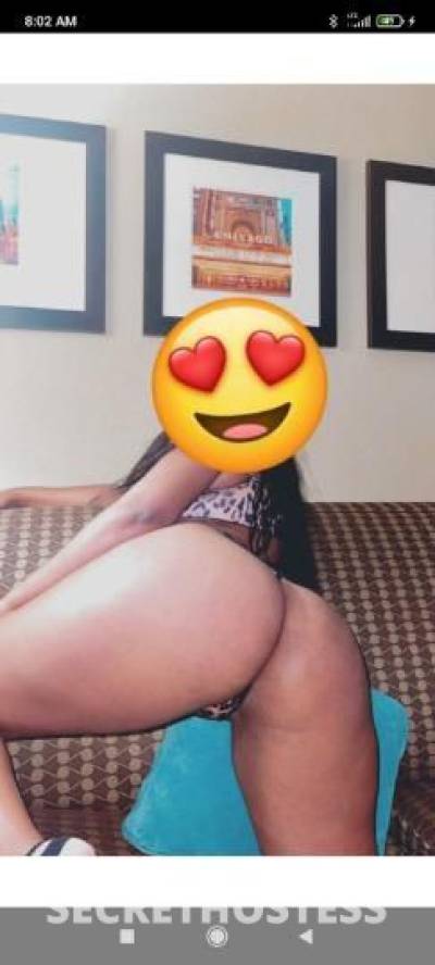 24Yrs Old Escort Northern Virginia DC Image - 0