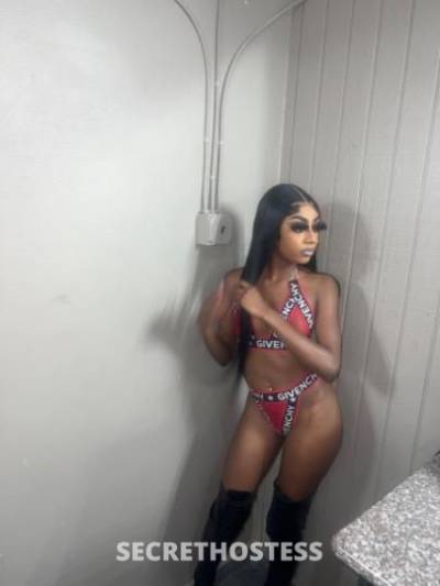 24Yrs Old Escort Orlando FL Image - 2