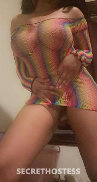 22Yrs Old Escort 165CM Tall Boston MA Image - 2