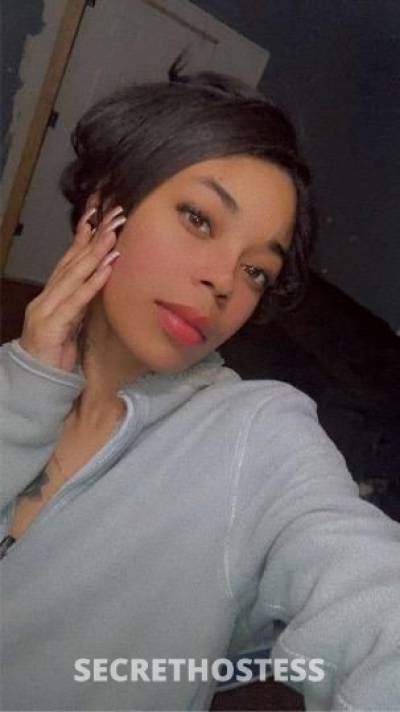22 year old German Escort in Houston TX DEALS ALL WEEK CASH ONLY Text Call Now