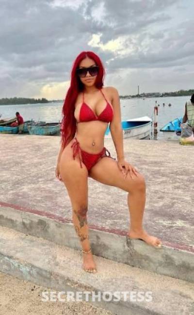 24Yrs Old Escort Westchester NY Image - 1