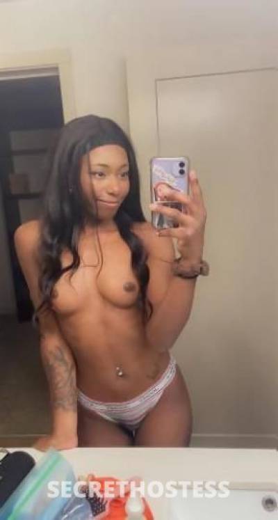 27Yrs Old Escort Southwest Michigan MI Image - 2